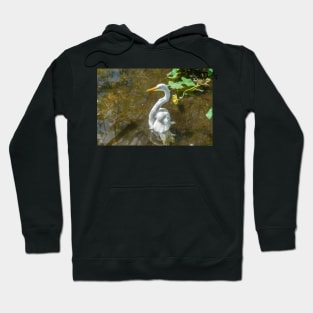 Reflections of a Great egret Hoodie